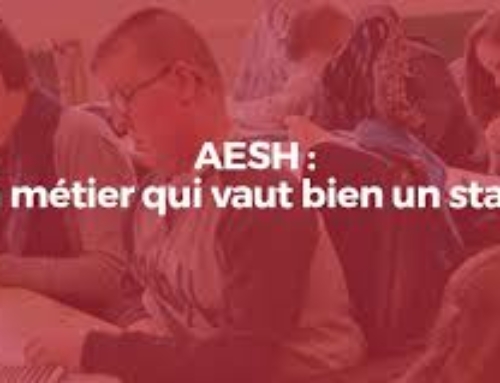 handicap : en finir avec la précarité des AESH